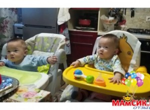 Стульчик для кормления BABYS DUCKY