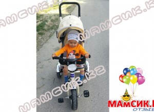 Велосипед Glamvers TIGR TRIKE Бежевый / Biege